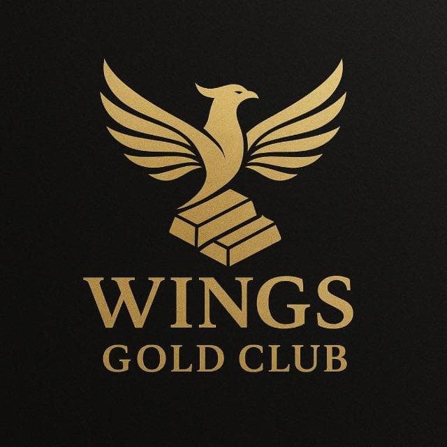 Wings Gold Club — business preview